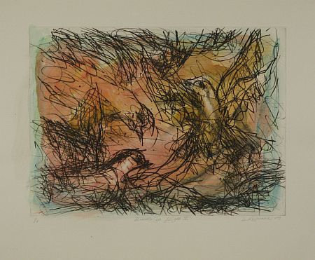 Click the image for a view of: David Koloane. Birds in Flight V. 2009. Hand coloured drypoint. 430X518mm